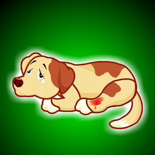 RescueThePainfulDog